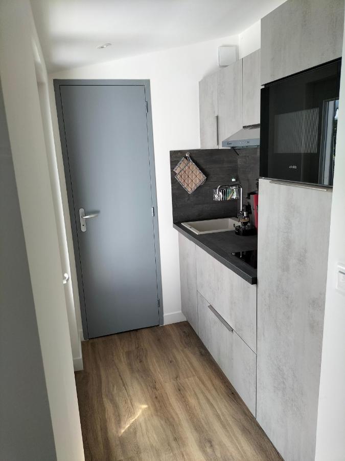 Studio Terrasse, Intra-Muros, Climatise Avec Wifi Авиньон Екстериор снимка