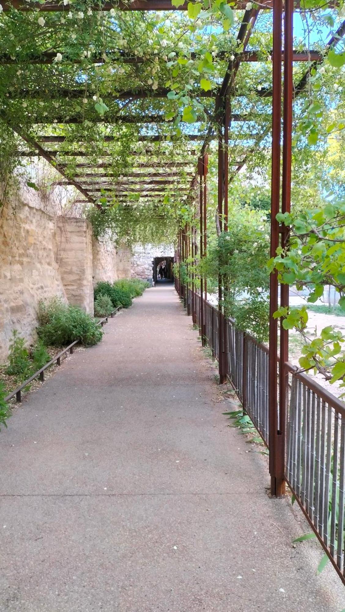 Studio Terrasse, Intra-Muros, Climatise Avec Wifi Авиньон Екстериор снимка